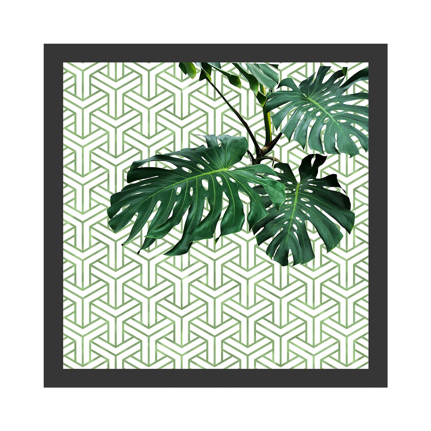 Printed Cocktail Napkins - Set of 4