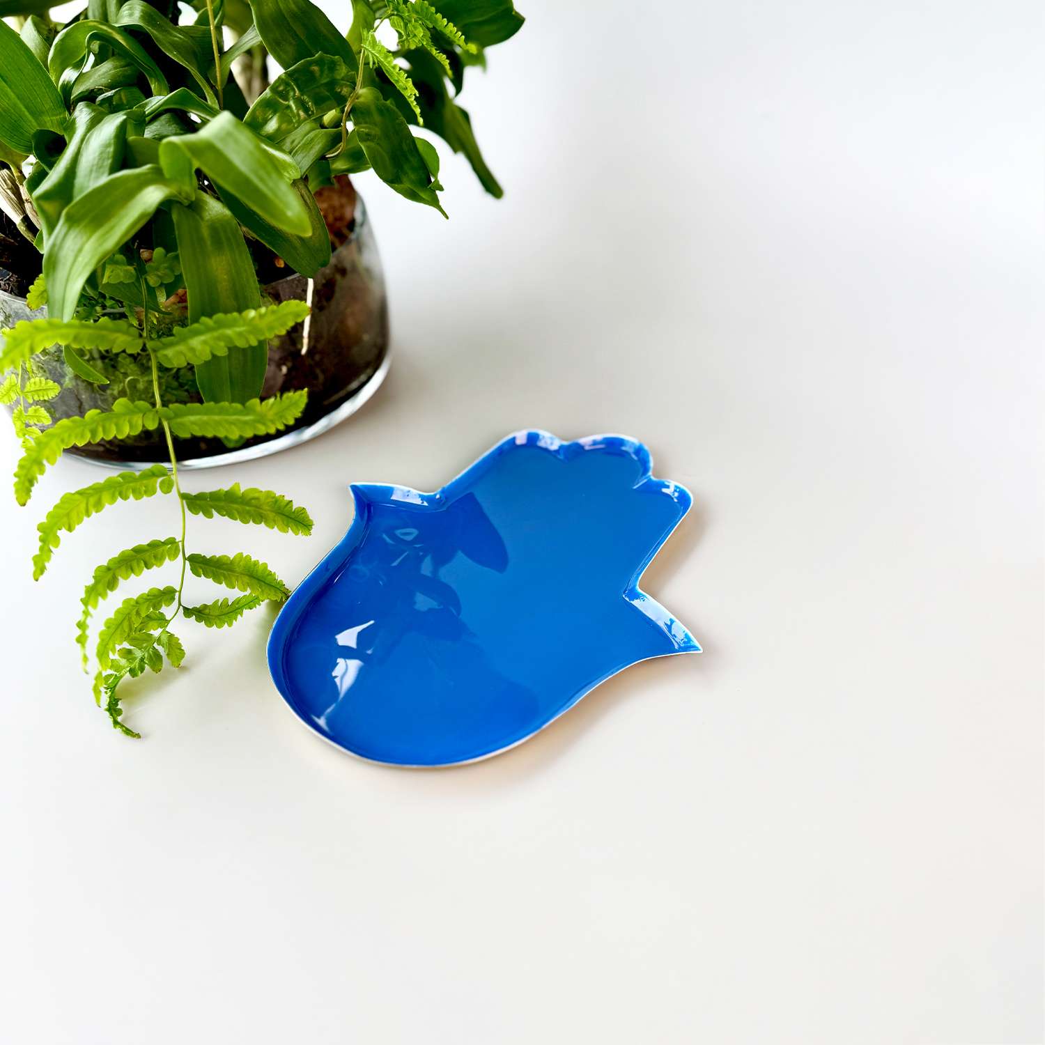 Hamsa Platter