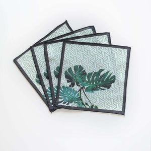 Monstera