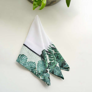 Monstera