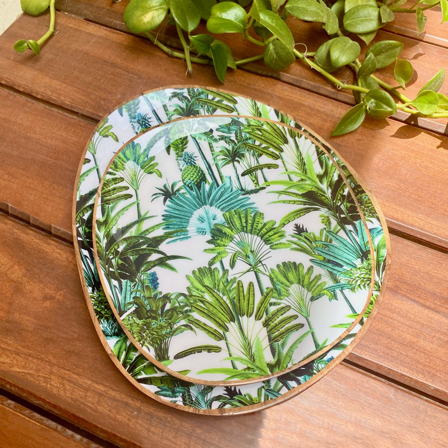 Oval Platters Set (Large & Medium) - Amazonia Day