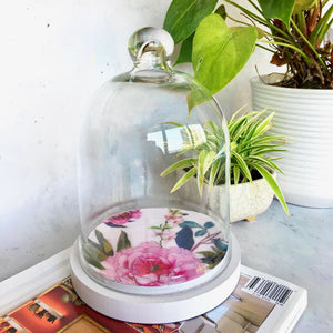 Mini Glass Cloche With Wood Base - Tudor Blooms